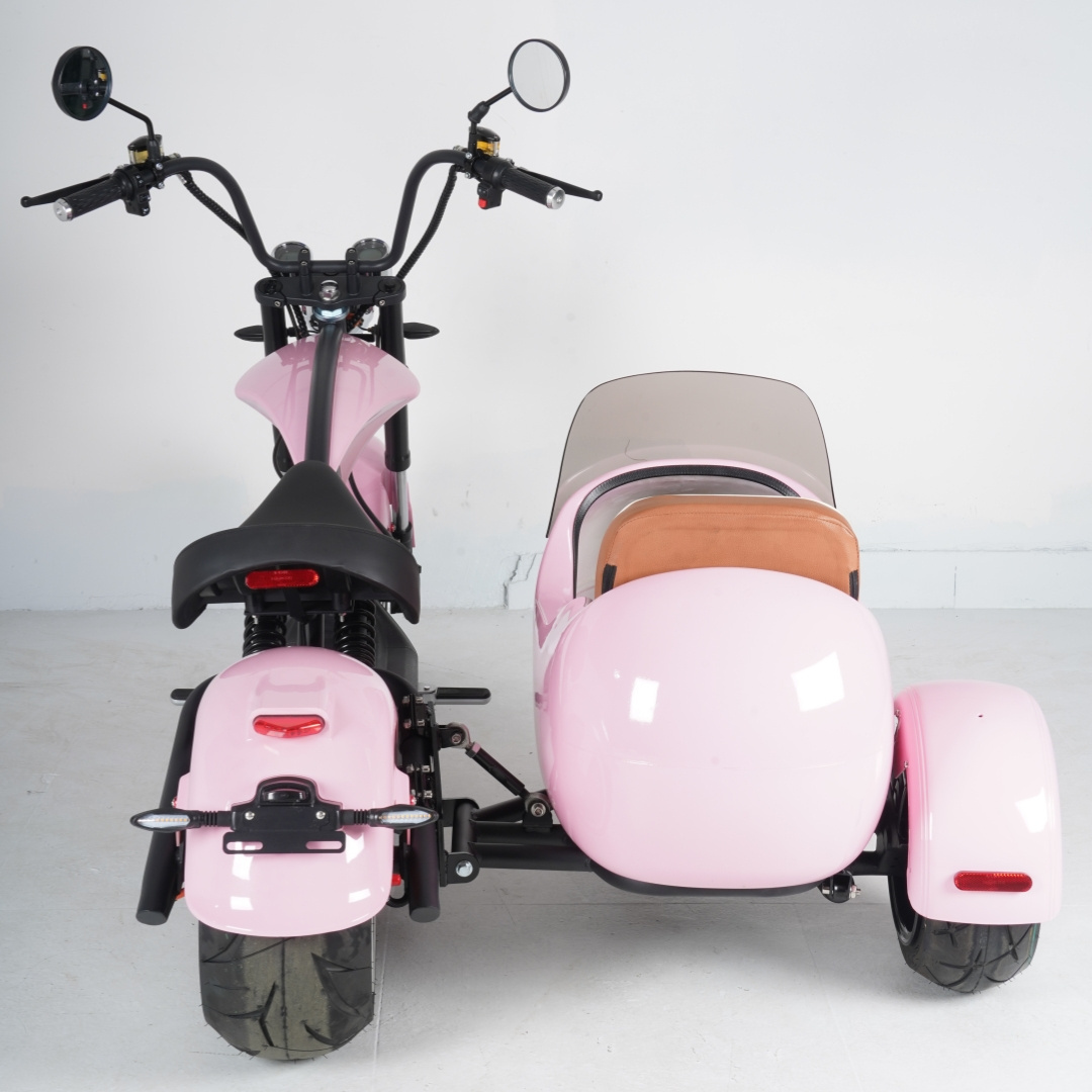 2024 Europe Warehouse New Arrival Citycoco M1P Electric Scooter Sidecar for Sale