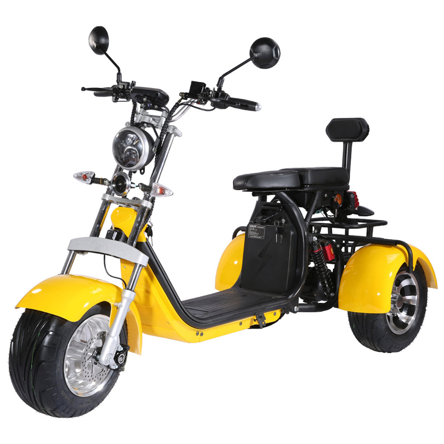 3 Wheel Electric Scooter Street Legal COC EEC Tricycle Motorcycle for Handicapped Adult