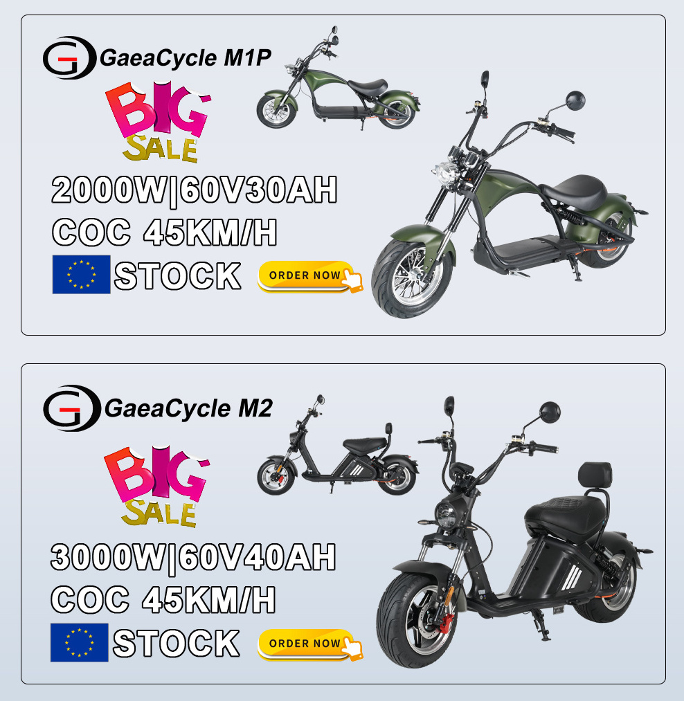 EEC COC 45km/h L1e City Coco Electric Chopper Scooter 2 Seater Citycoco M1 2000W 60V 20Ah Eu Warehouse