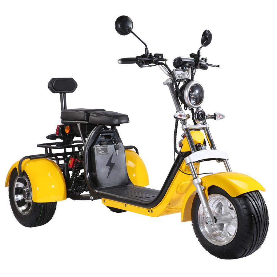 3 Wheel Electric Scooter Street Legal COC EEC Tricycle Motorcycle for Handicapped Adult