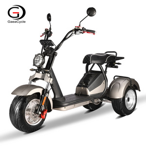 GaeaCycle Trike Motorcycle 10inch Fat Tires COC 45km/h 4000w Citycoco Three Wheel Electric Scooter