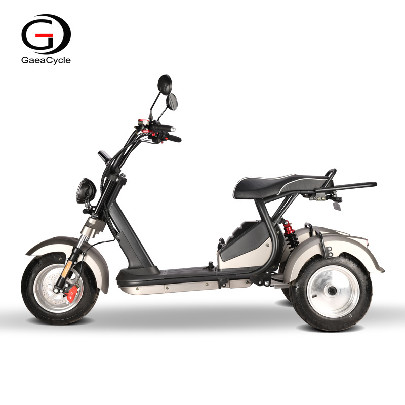 GaeaCycle Trike Motorcycle 10inch Fat Tires COC 45km/h 4000w Citycoco Three Wheel Electric Scooter