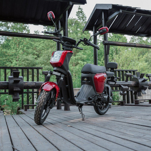 EU Warehouse Gaeacycle Electric Scooter Moped with Pedal Assist 1000w 20ah 50km Range