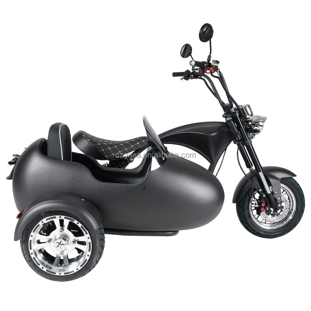 Europe Warehouse Citycoco Electric Scooter Sidecar 60Kg Max Load for Kids Pet Cargo