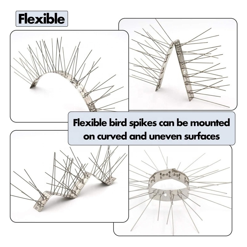 Stainless Steel W Bird Spikes For Small Birds Anti Bird Spike Animal