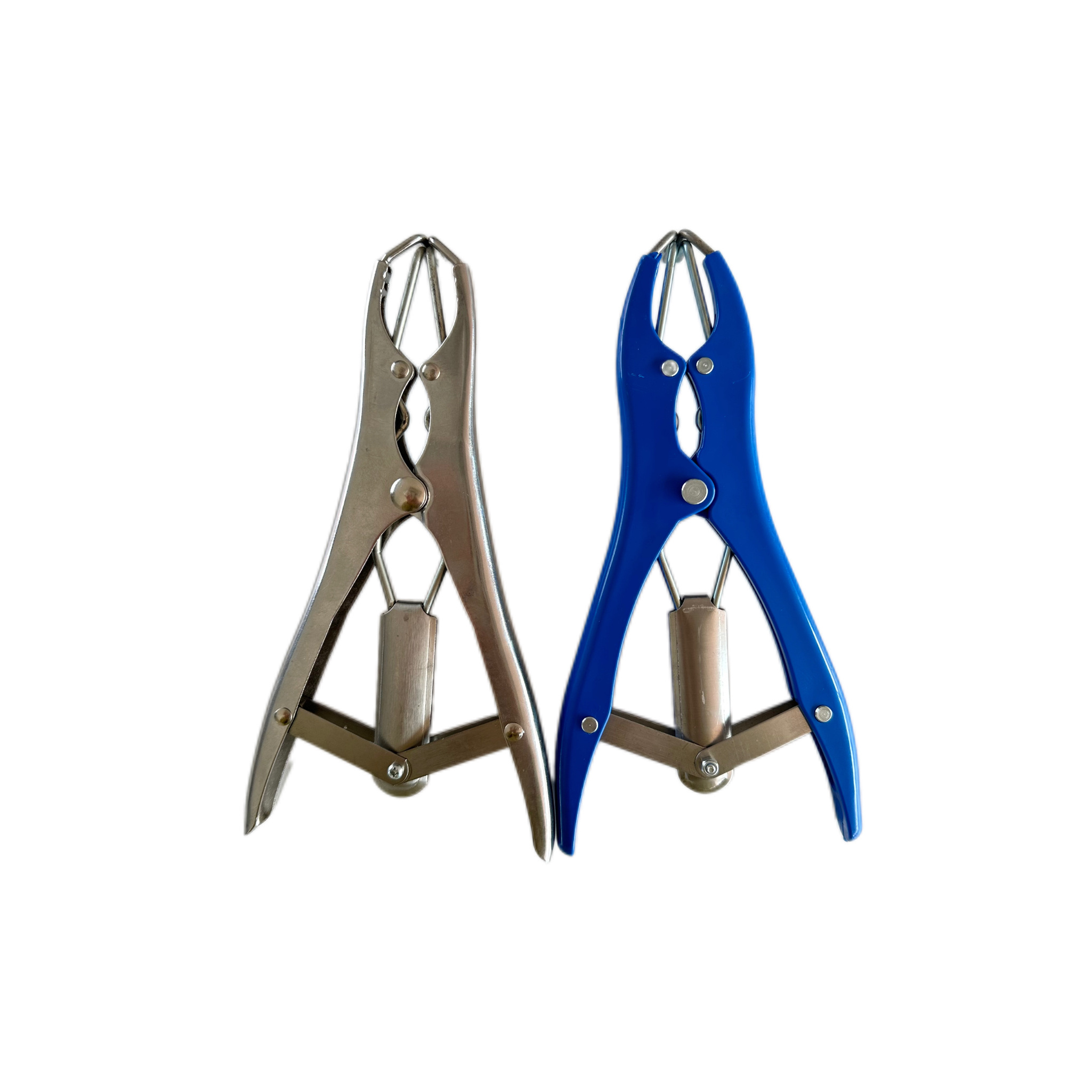 Stainless Steel Expansion Forceps Bloodless Castration Tool for Pigs and Sheep Veterinary Instrument