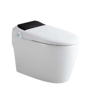 Intelligent Japanese Sanitary Ware  Electronic  One Piece Ceramic Tankless Bidet toto Smart Toilet