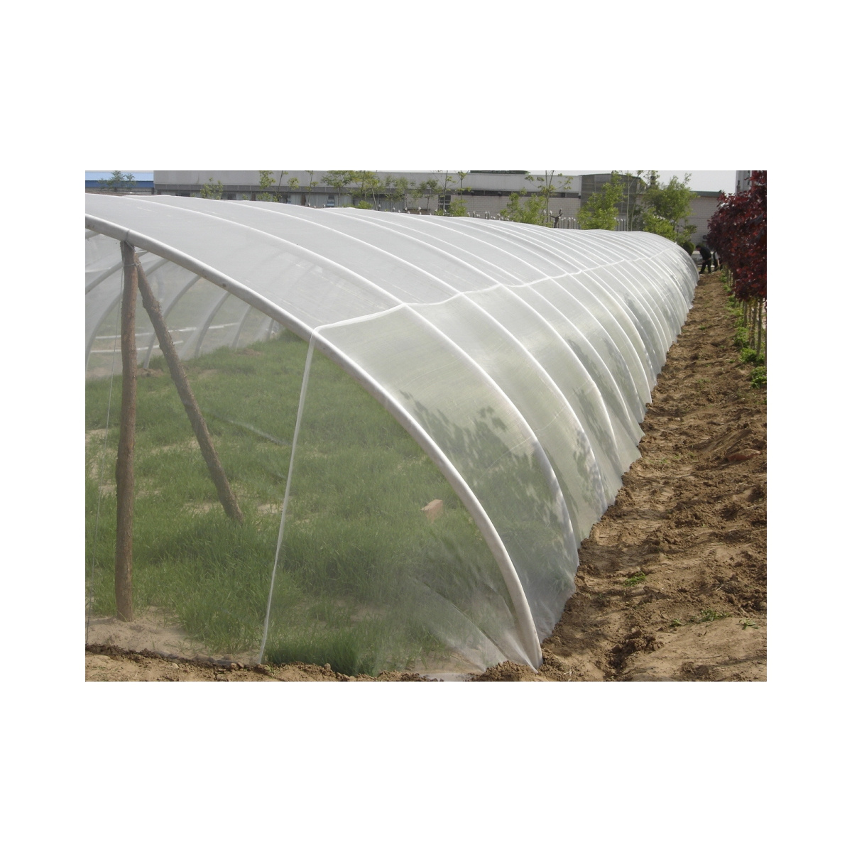 Low Cost Plastic Ventilation 60 Mesh Fruit Tree Covers Anti Insect Net For Greenhouse