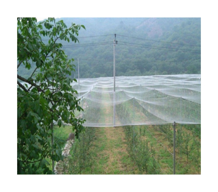 Low Cost Plastic Ventilation 60 Mesh Fruit Tree Covers Anti Insect Net For Greenhouse