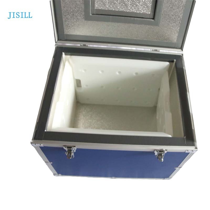 Custom Ice Cream Portable Chest Freezer Box Control Temperature Cooler