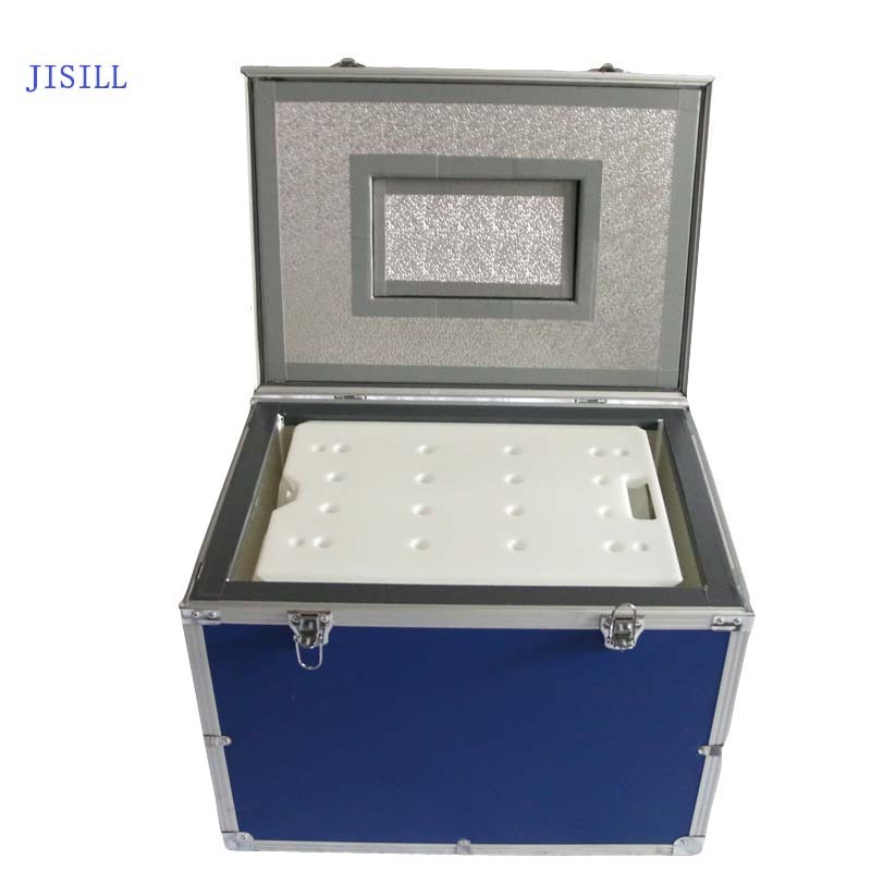 Custom Ice Cream Portable Chest Freezer Box Control Temperature Cooler