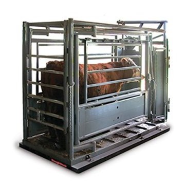 Kingtype Livestock Scale/Cattle Weighing Scale/pig Scale