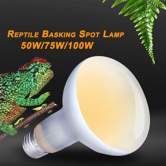 50w 75w 100w 150w Reptile Heat Lamp UVA Daylight Basking Spot Light Amphibians Basking Bulbs Heat Lamps Heat Lamp Bulbs Dragon