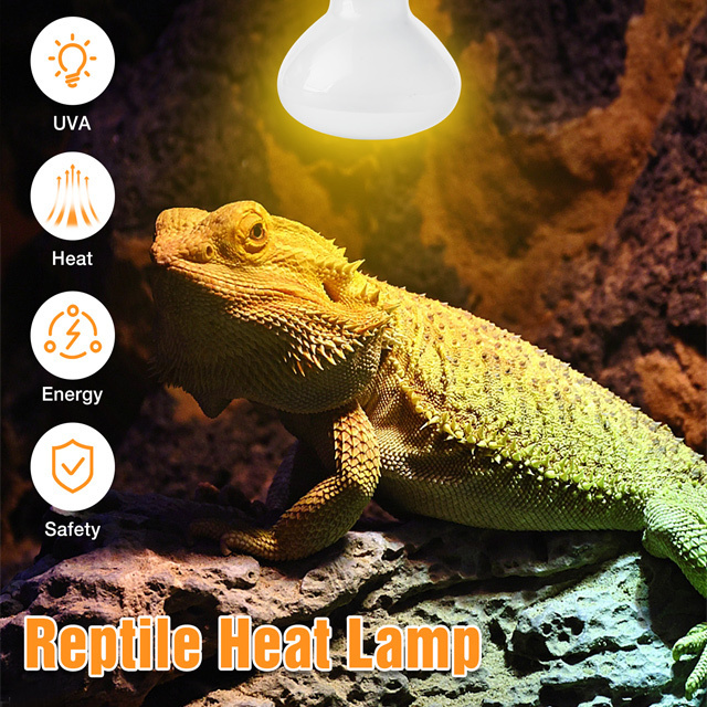 50w 75w 100w 150w Reptile Heat Lamp UVA Daylight Basking Spot Light Amphibians Basking Bulbs Heat Lamps Heat Lamp Bulbs Dragon