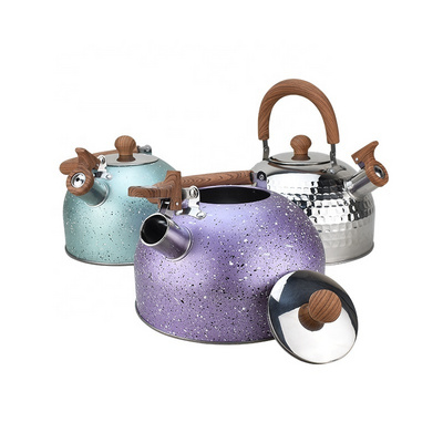 New Style Home Appliances Stainless Steel Hot Water Whistling Kettles Stove Top Teapots