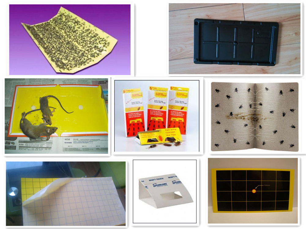 Pest Control Hot Melt Glue Coating Mouse Trap Board Making Machine Electric Fly Traps for Insect Control Use Disposable 220/380v