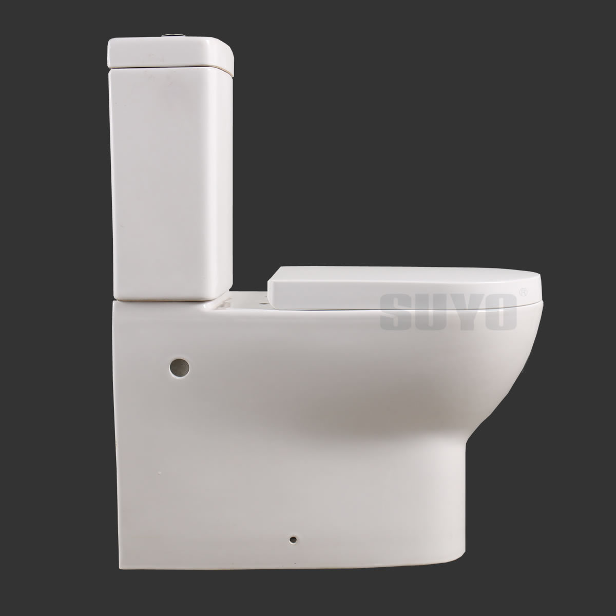 Luxury Modern Ceramic Sanitaryware Suppliers With Seat Covers Wc Brand Toilet Bowl two piece toilet seats