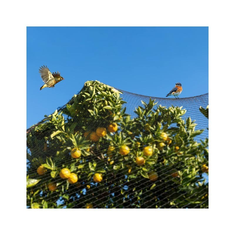 Low price high density  HDPE anti bird nets for fruit tree and vegetable protection garden net birds net