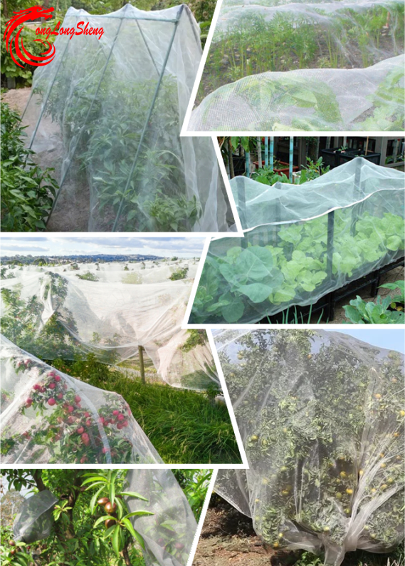 Multifunctional Ultra-dense Mesh Insect Net For Crop And Fruit Tree Protection insect nets