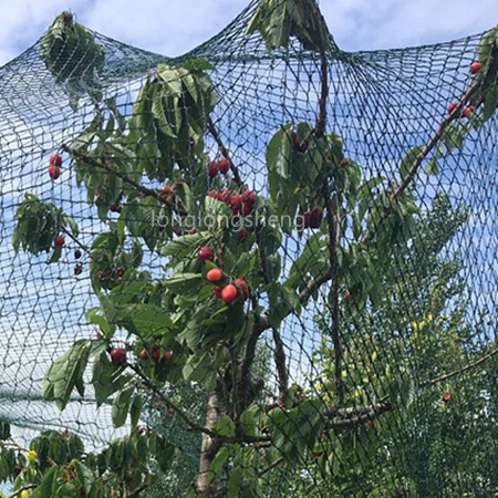 Low price high density  HDPE anti bird nets for fruit tree and vegetable protection garden net birds net