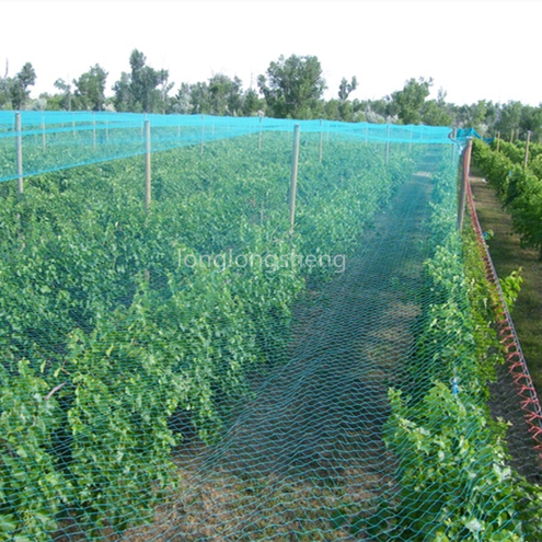 Low price high density  HDPE anti bird nets for fruit tree and vegetable protection garden net birds net