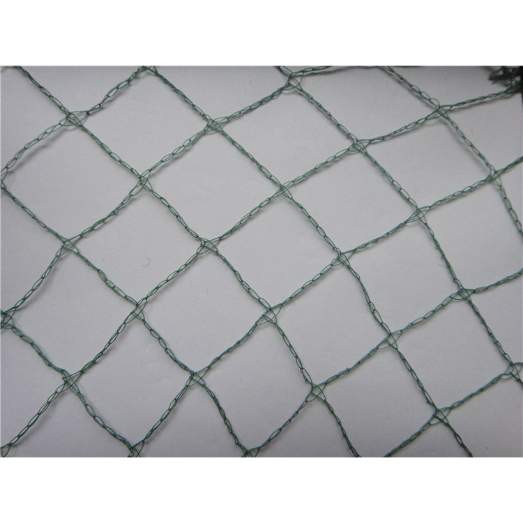 Factory Hot Sale Garden Mist Birds Catching Agricultural Bird Netting Anti-bird Net