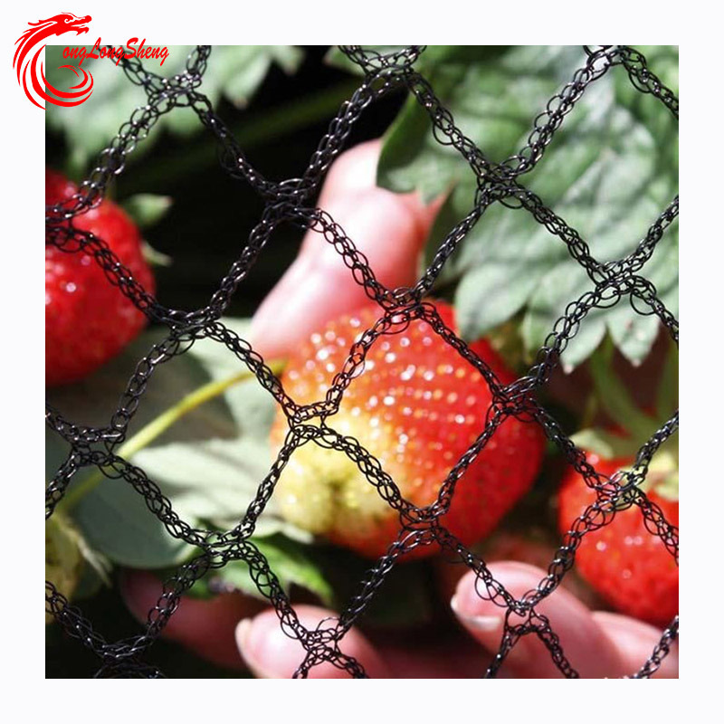 Black Anti Bird Mist Net Mesh For Protect Fruit Crop Garden