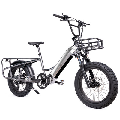 2023 Mario Ebike 750w 750 Watt Motor Fat Tire Cargo E-bike Fat Tire Step Through E Bike Electric City Bicycle