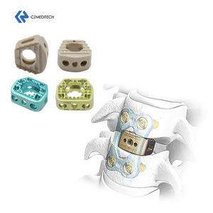 2024 New Design Customized CE/ISO Quality Guaranteed Cervical Peek Cage