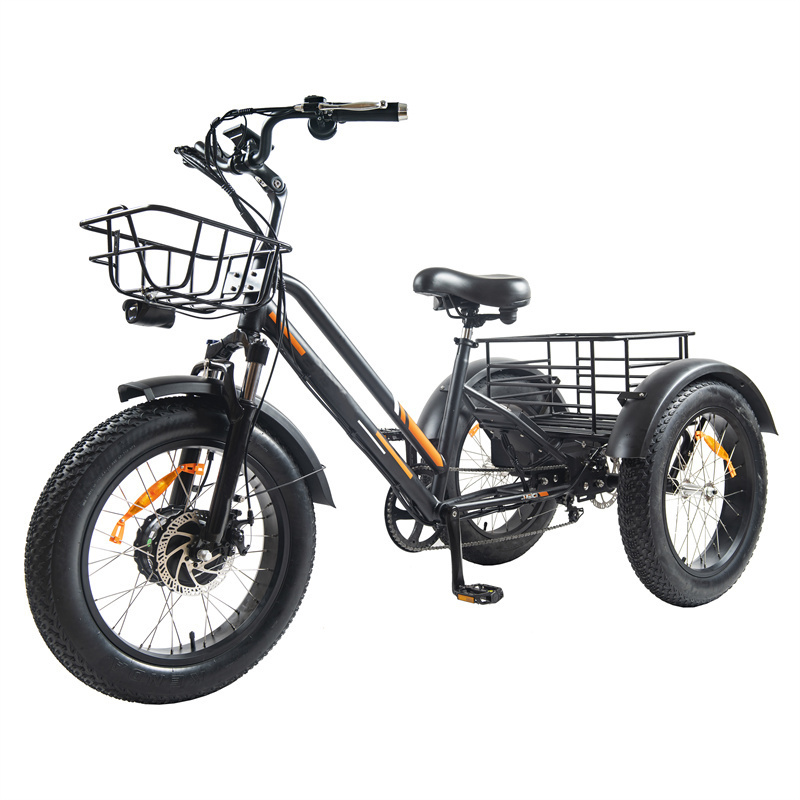 multifunctional fat tire 3 three electric tricycle 48V 750W 20 inch E-trike with LCD