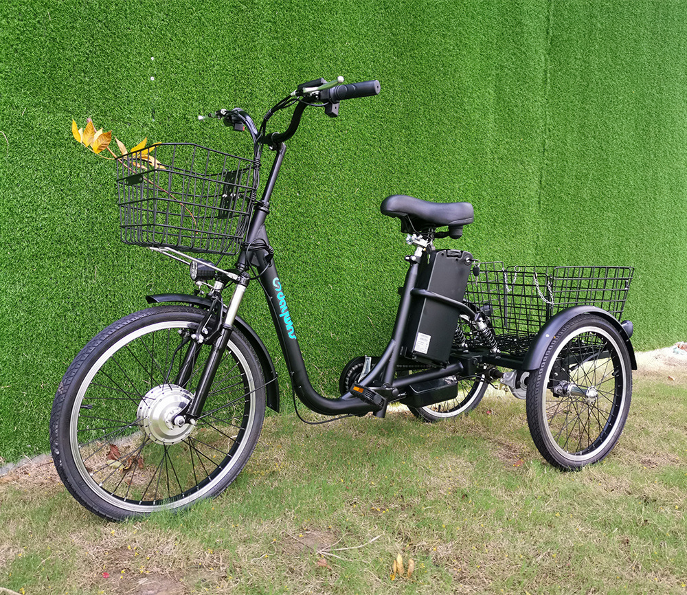 OEM Customize Factory price electric trike three wheels adult electric bike bicycle