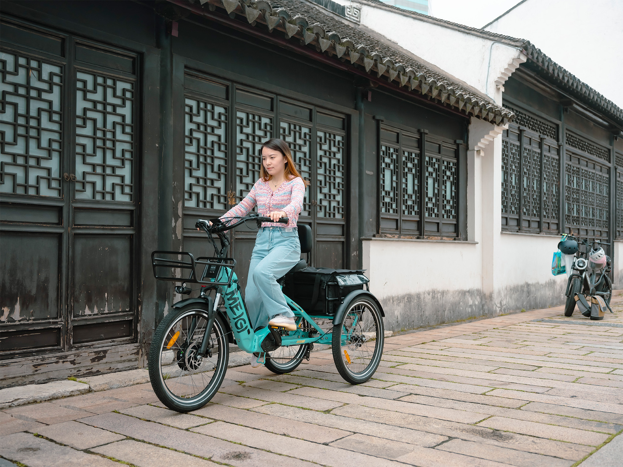 off road 3 wheel e-trike motorcycle 3 wheel electric bikes for adult with hydraulic disc brake 750w suspension electric tricycle