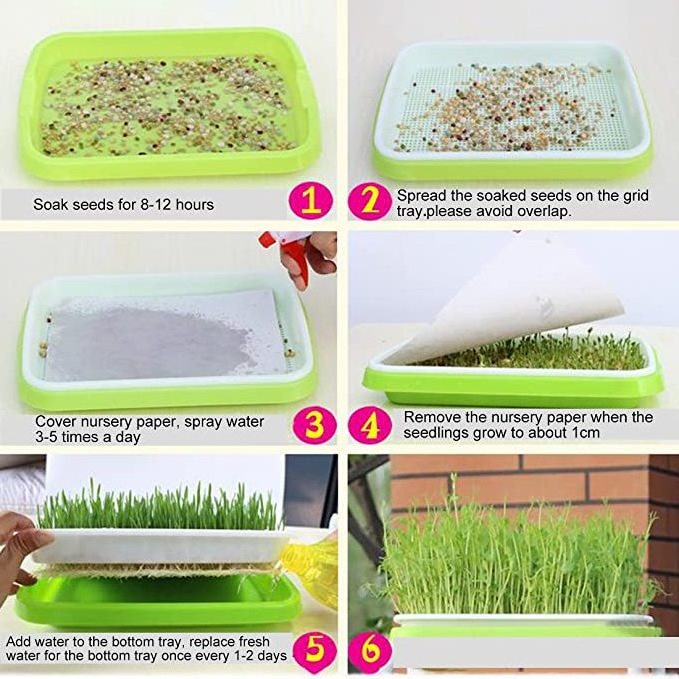 Soilless Culture Big Capacity Healthy Breathable Seed Sprouter Tray for Vegetables Wheatgrass Seeds