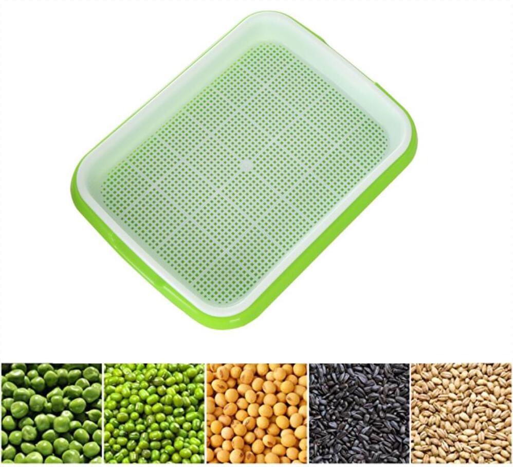 Soilless Culture Big Capacity Healthy Breathable Seed Sprouter Tray for Vegetables Wheatgrass Seeds