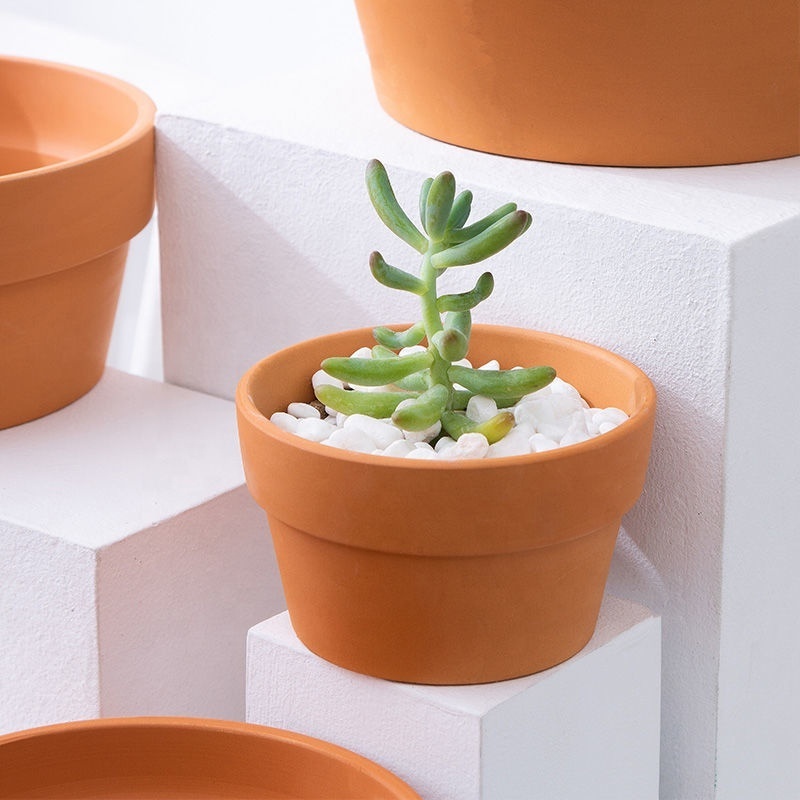 Terracotta Grower Pot Pottery Planters for Succulent Cactus Mini Plant Containers  with Drainage Hole Ceramic Plant Pots