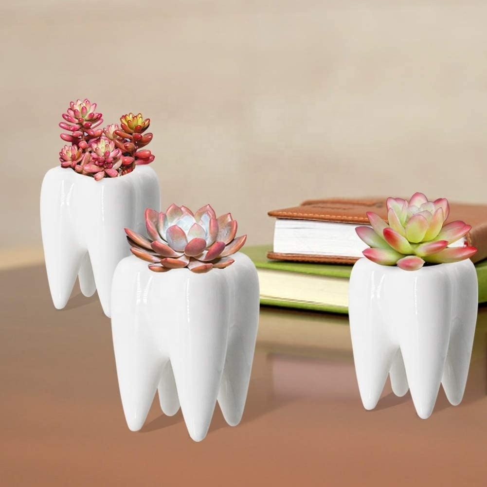 Creative Tooth Shaped Pen Pencil Holder Toothbrush Holder Ceramic Bonsai Pot Succulent Plant Pot Dentist Gift