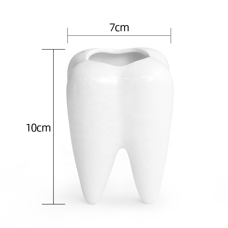 Creative Tooth Shaped Pen Pencil Holder Toothbrush Holder Ceramic Bonsai Pot Succulent Plant Pot Dentist Gift