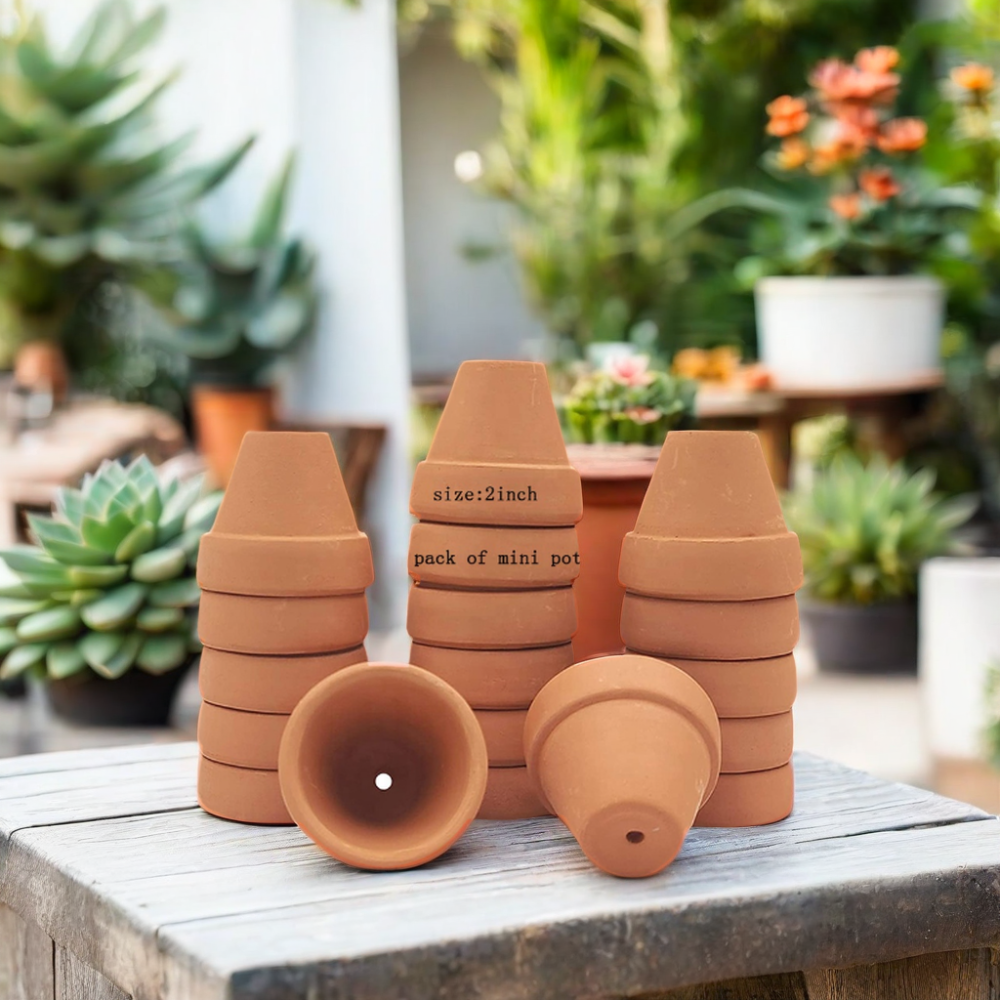 Wholesale Mini Clay Pots Terracotta and Ceramic Cactus Pots for Indoor Plants Designed for Home and Nursery Use Floor Racks