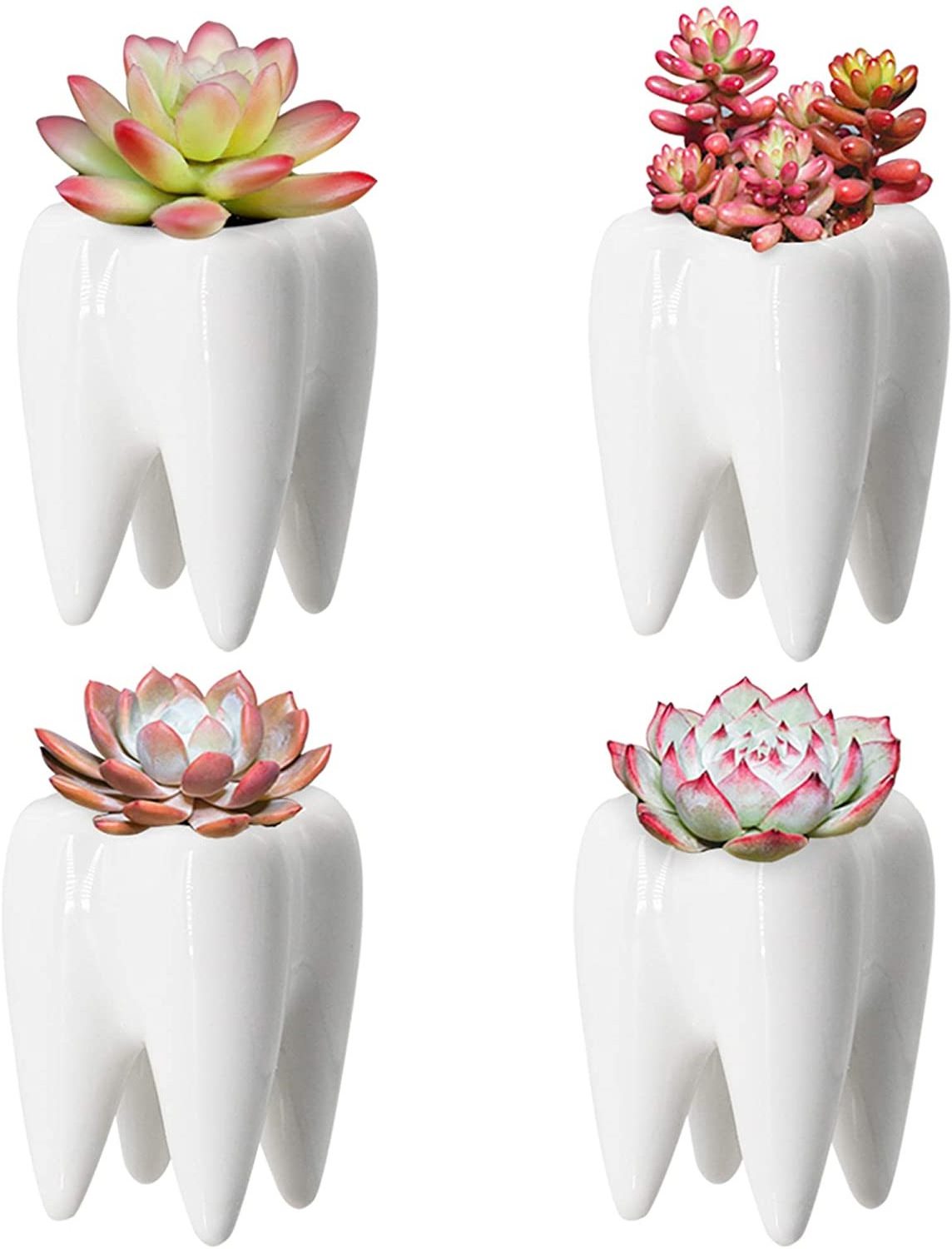 Creative Tooth Shaped Pen Pencil Holder Toothbrush Holder Ceramic Bonsai Pot Succulent Plant Pot Dentist Gift