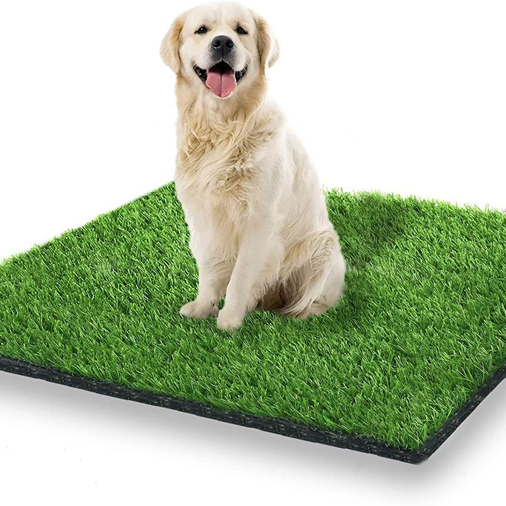 Artificial Grass & Sports Flooring Cheaper Green Rug For Garden  Golf Artificial Pampas Grass