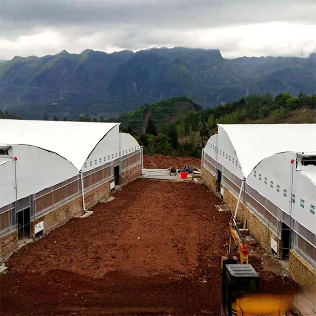 Breeding Shed Agricultural Greenhouses for Plant and Animal Breeding