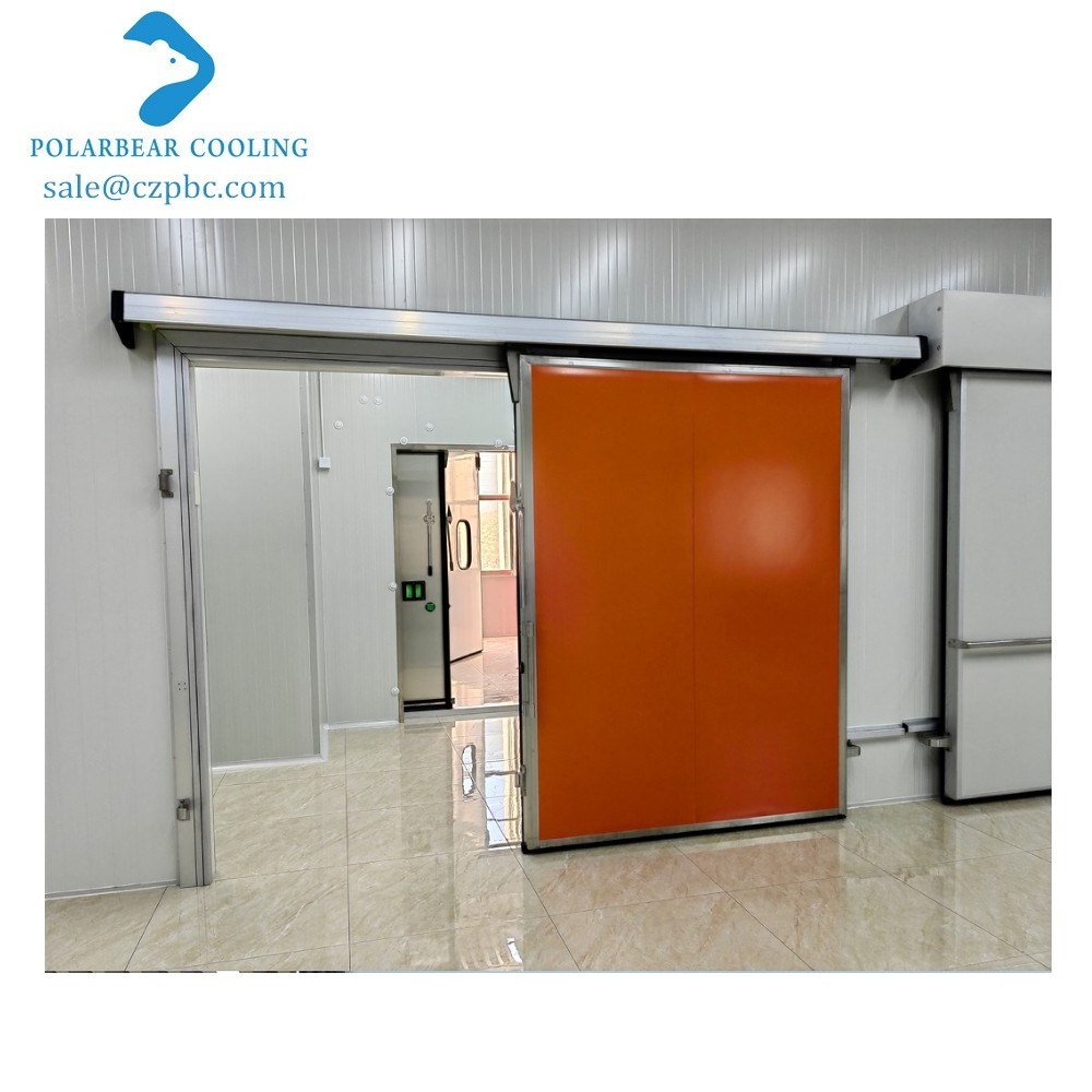 Walk In Freezer Door Commercial Sliding Freezer Room Doors