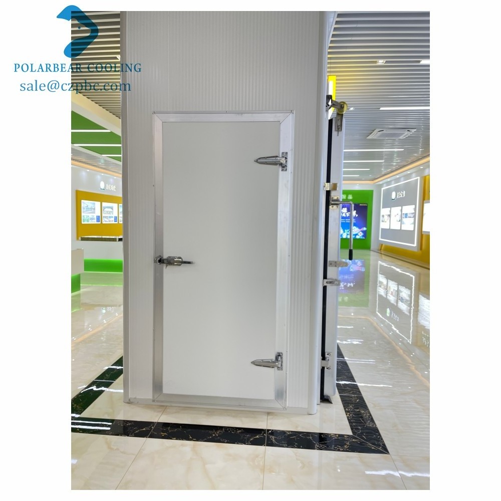 Hot Sale Walk in Freezer Interior Swinging Door Cold Storage Half-buried Door