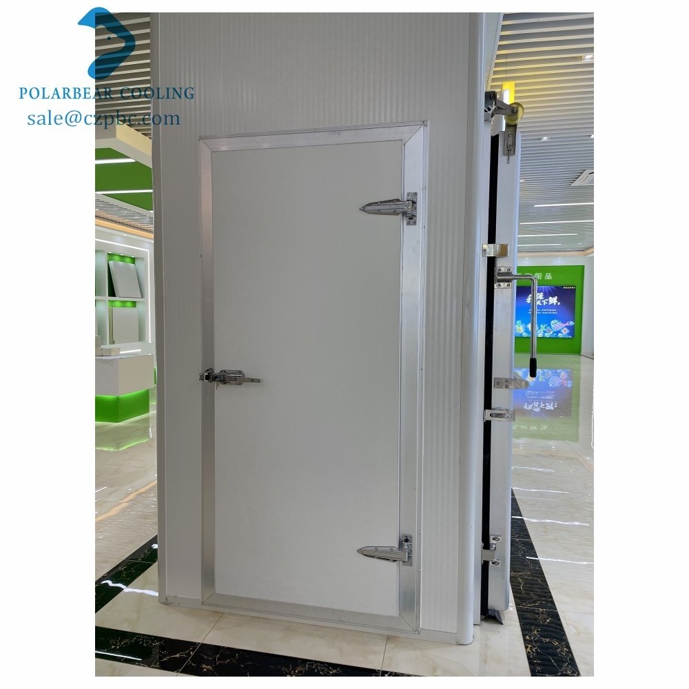 Hot Sale Walk in Freezer Interior Swinging Door Cold Storage Half-buried Door