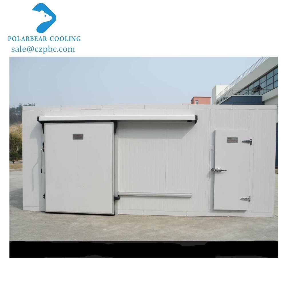 Walk In Freezer Door Commercial Sliding Freezer Room Doors