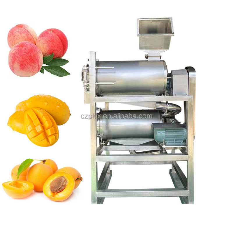 Mango juice pulp puree mango fruit processing making machine production line plant