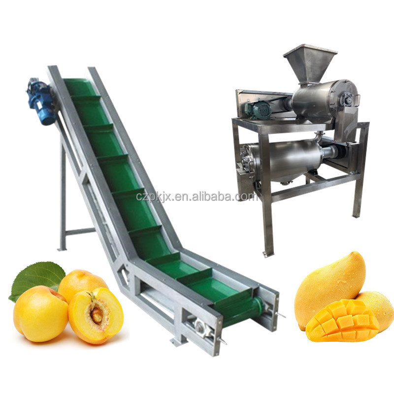 Mango juice pulp puree mango fruit processing making machine production line plant