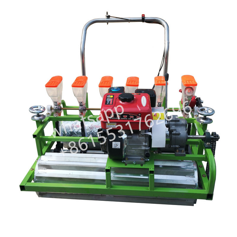 High quality electric/gasoline 4/5/6 rows vegetable seed planter carrot/ onion/ tomato Precision Seeder Planter