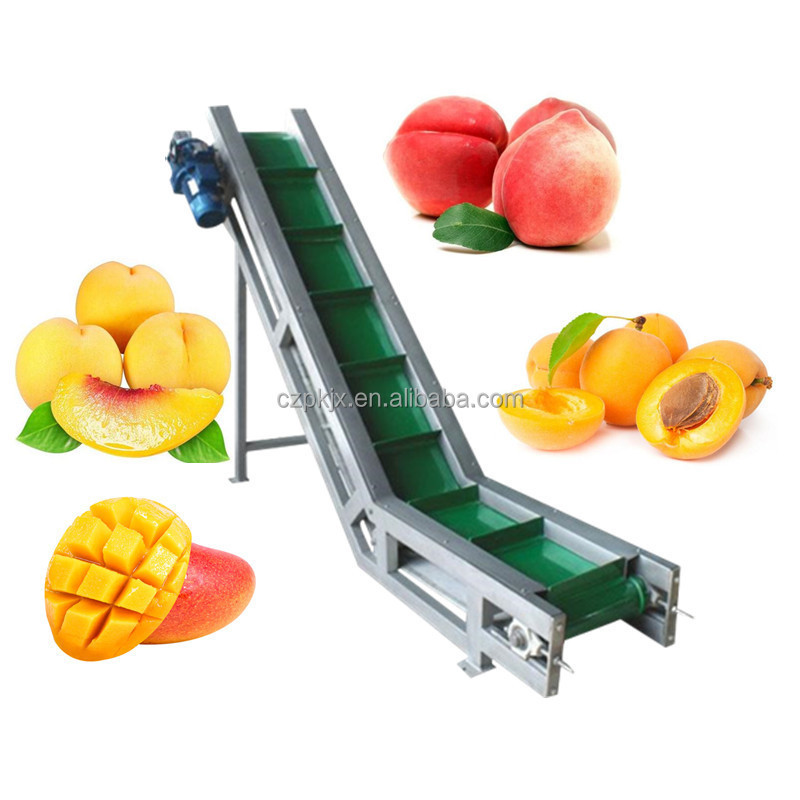 Mango juice pulp puree mango fruit processing making machine production line plant