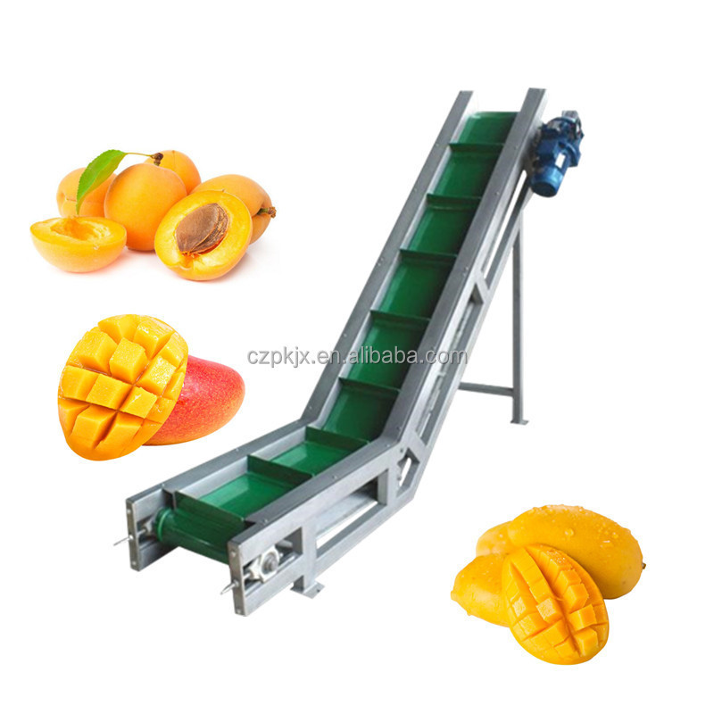 Mango juice pulp puree mango fruit processing making machine production line plant